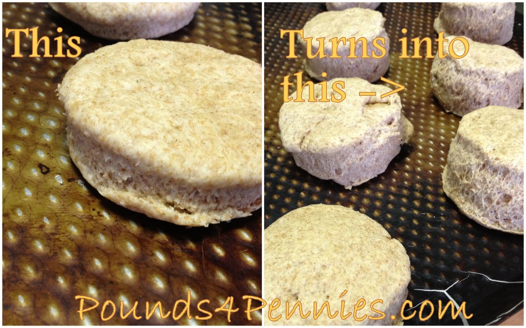 Homemade Biscuits Recipe: and Pancake Mix