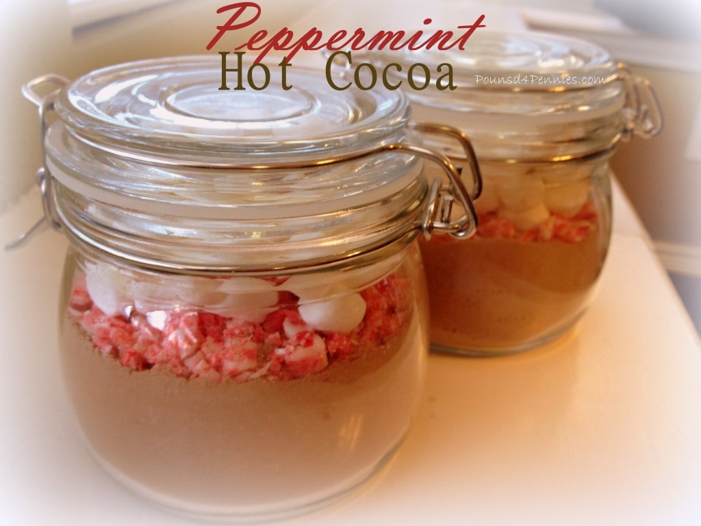 Simple Peppermint Hot Cocoa Mix Recipe