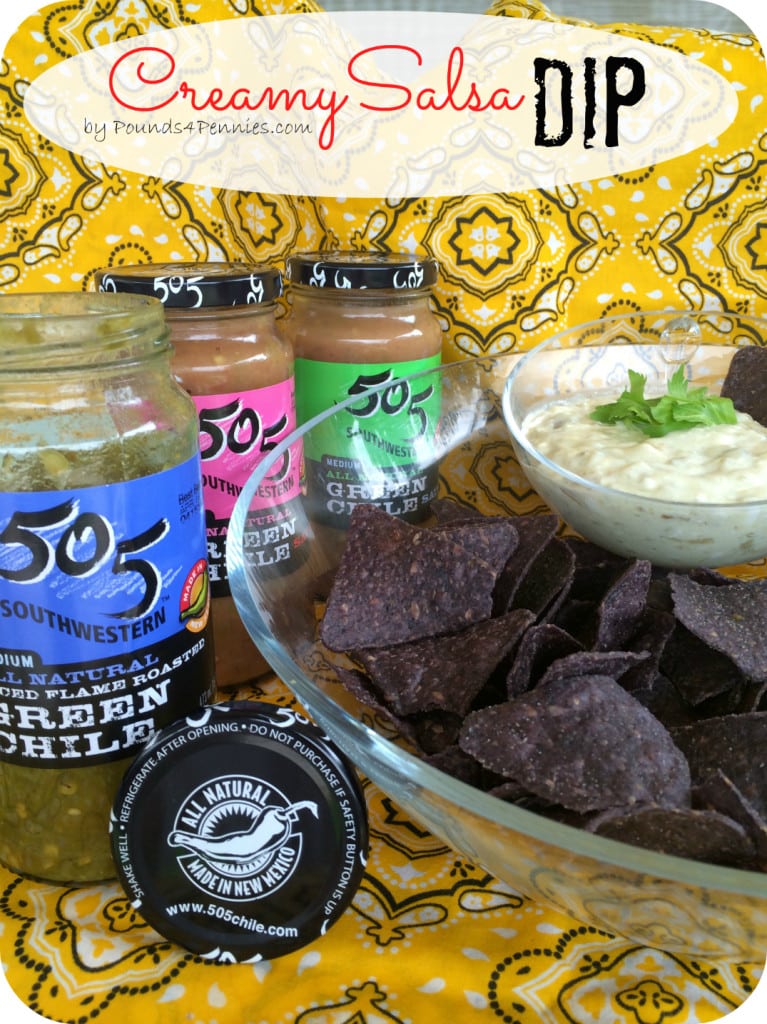 The Best Creamy Salsa Dip Using 505 Southwest
