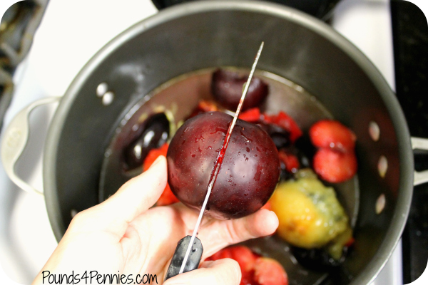 Cutting Plums for Homemade Jelly