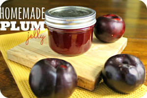 How to Make Homemade Plum Jelly