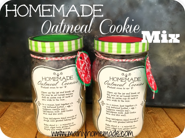 Homemade Oatmeal cookie mix recipe gift idea