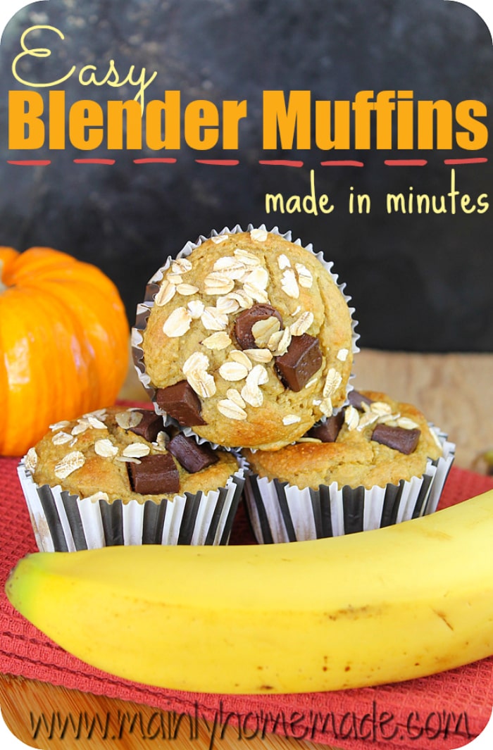 Gluten free chocolate chip pumpkin blender muffins recipe