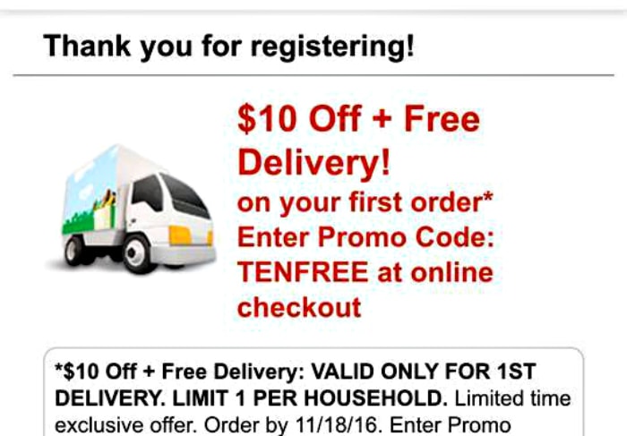 promo-for-free-delivery