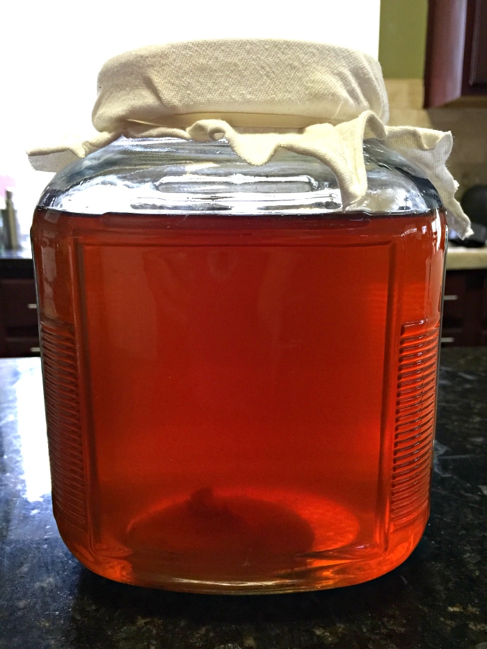 make homemade kombucha resting