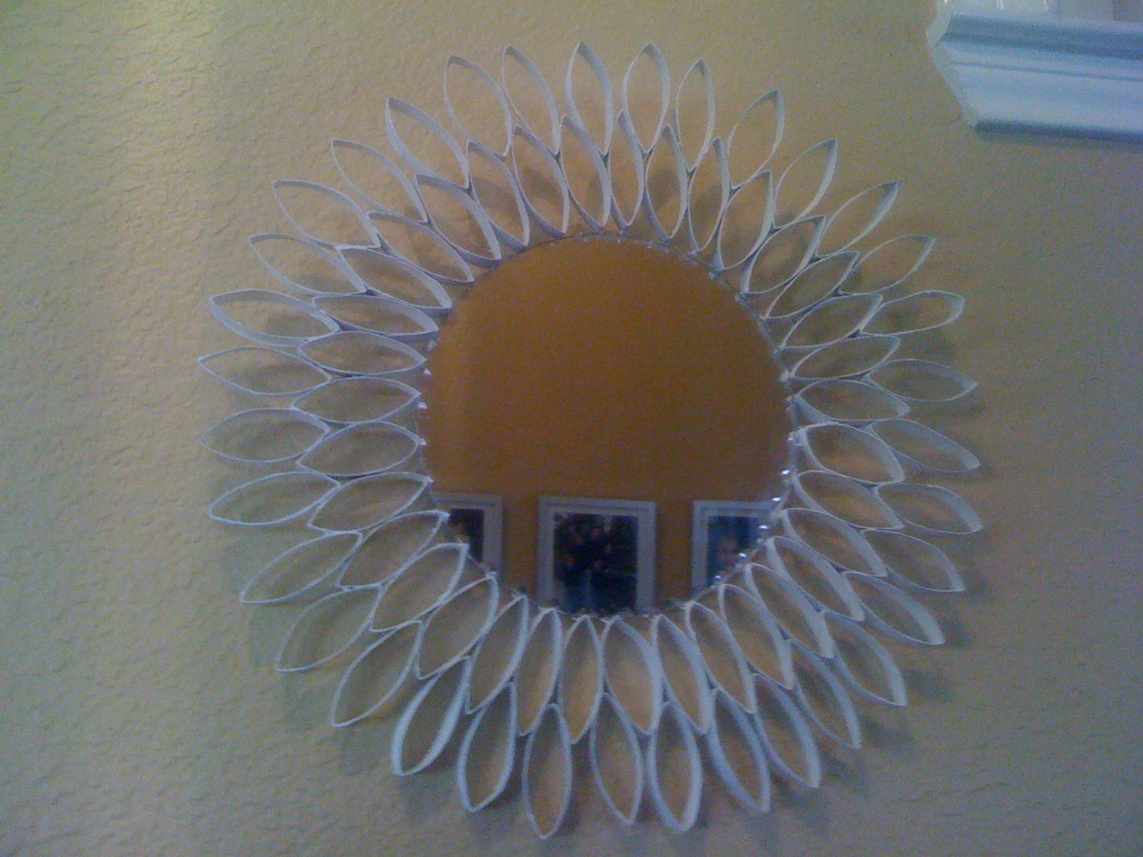 Toilet Paper Roll Mirror